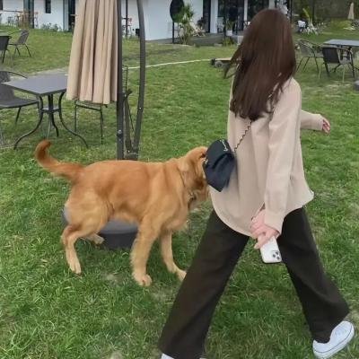 马桶妖怪2